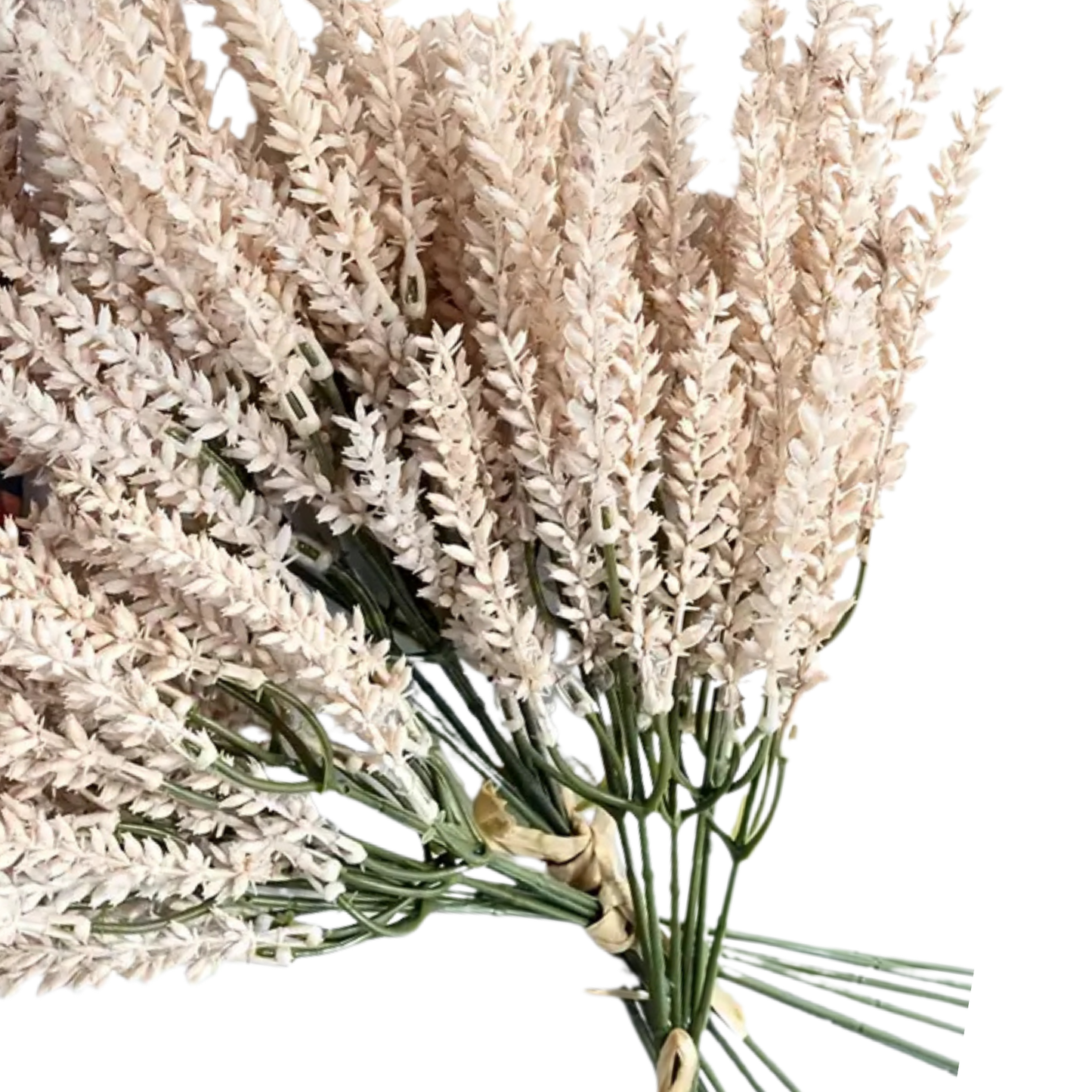 Wheat Stem | Natural