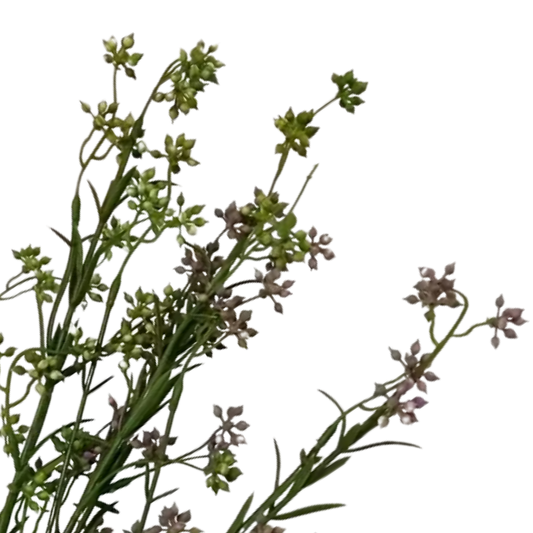 Wildflower