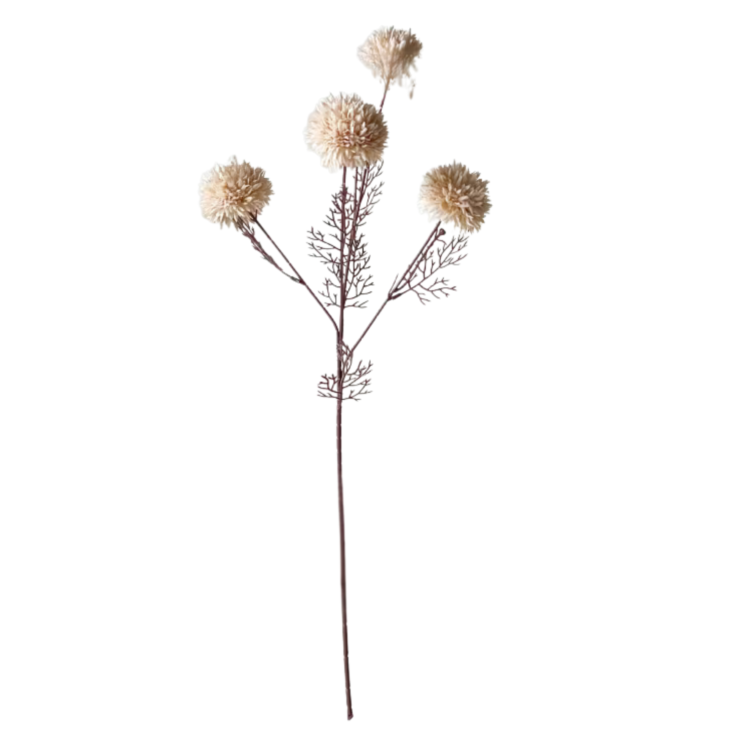 Autumn White Seed Head Stem