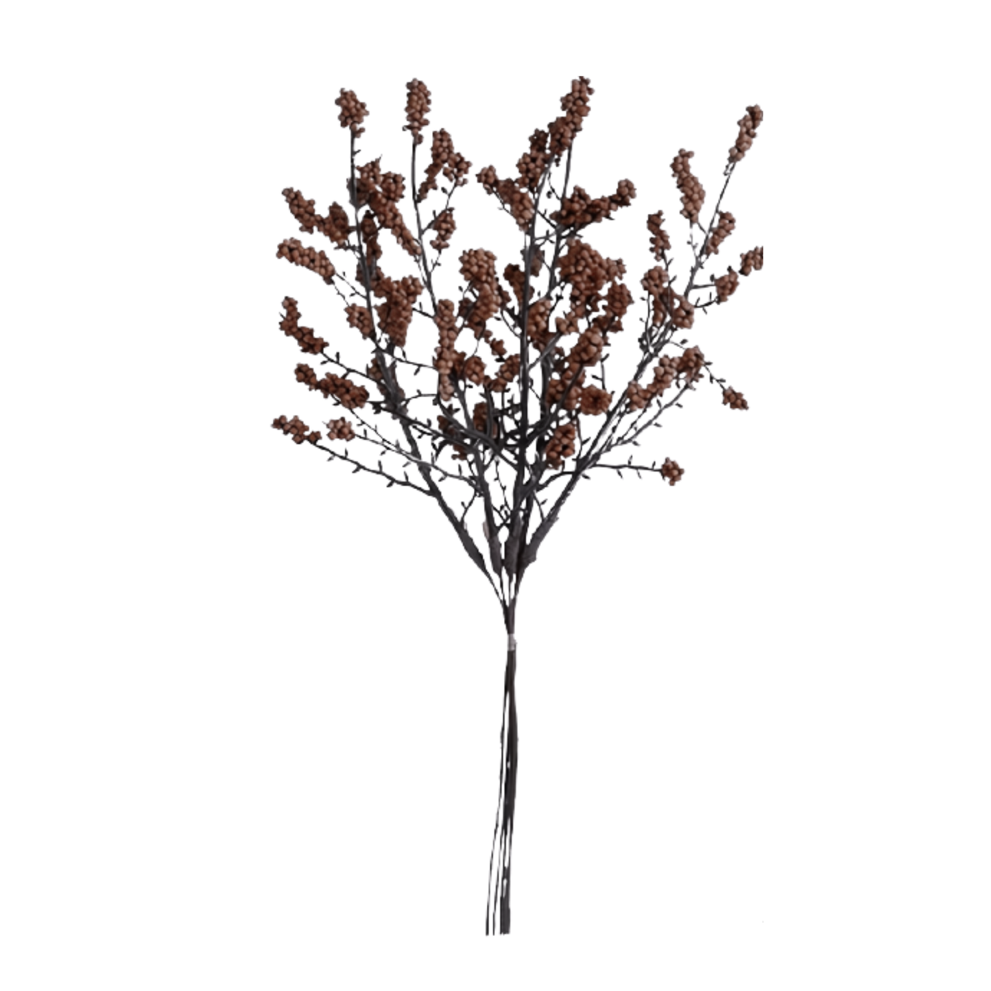 Dark Brown Autumn Berry Stem