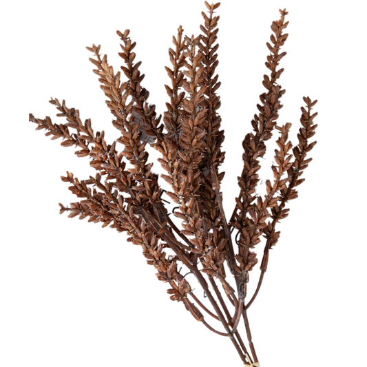 Wheat Stem | Autumn