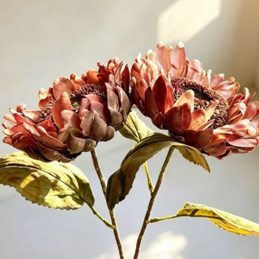 Sunflower | Rust