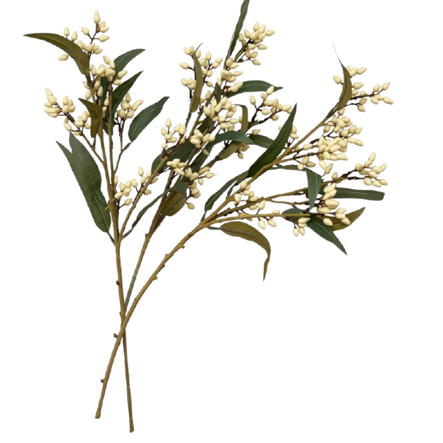 Seeded Stem | Cream
