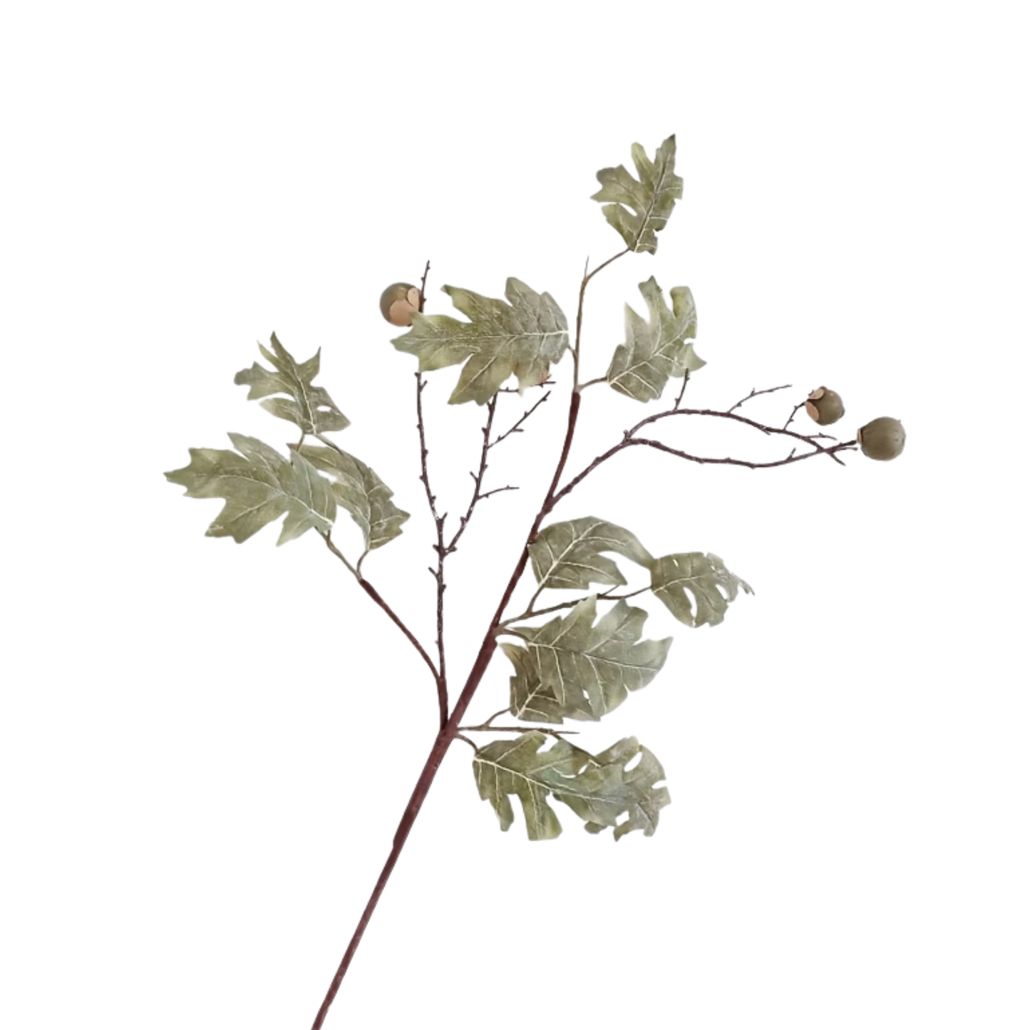 Oak | Green