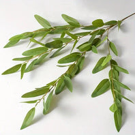 Eucalyptus - 1-0114