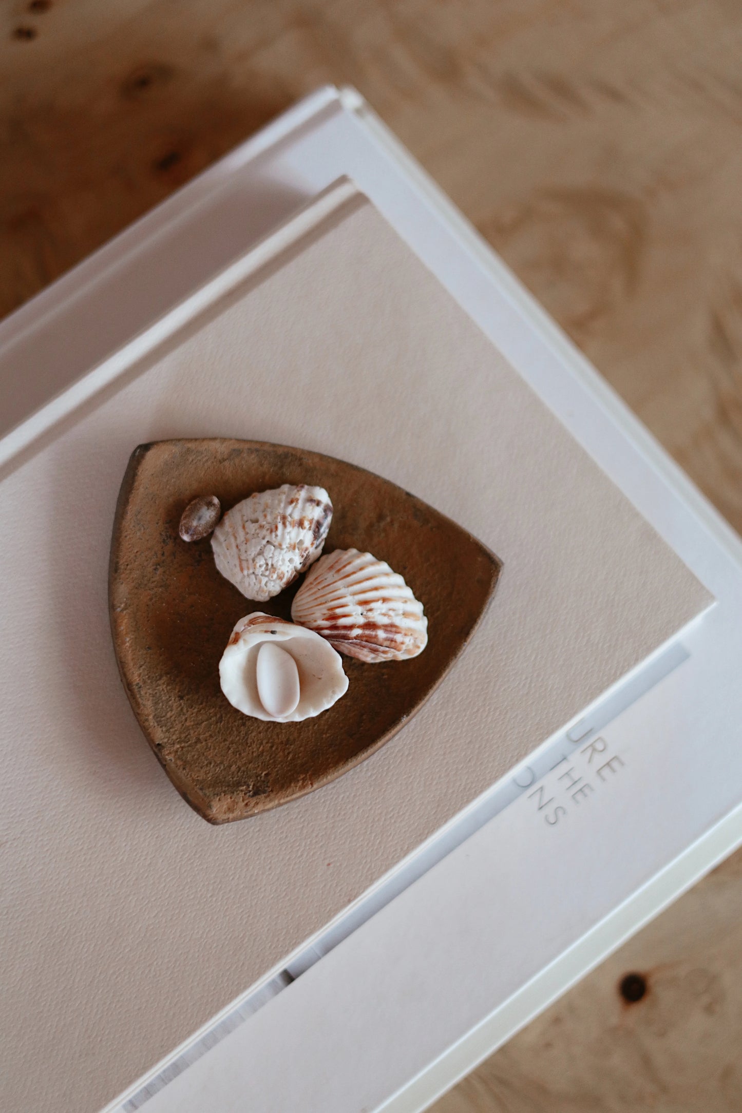 Orion Catchall | Rust