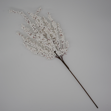 Load image into Gallery viewer, WHITE WINTER BERRY | M