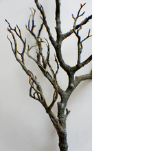 Load image into Gallery viewer, BRANCH | Artificial