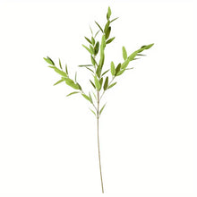 Load image into Gallery viewer, EUCALYPTUS WILL | BRANCH