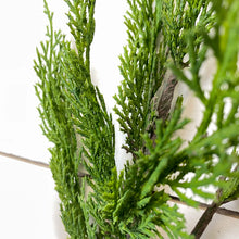 Load image into Gallery viewer, CEDAR WHISP | STEM M