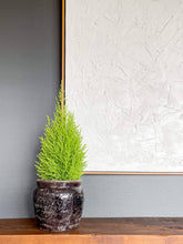 Load image into Gallery viewer, Pompeii