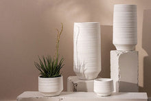 Load image into Gallery viewer, ANDRADE