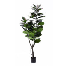 Load image into Gallery viewer, RUBBER | TREE