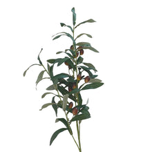 Load image into Gallery viewer, OLIVE LEAF | STEM