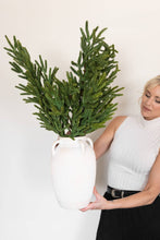 Load image into Gallery viewer, NORFOLK LUX | STEM