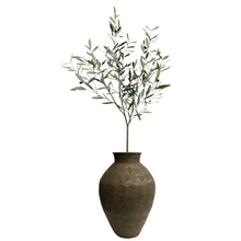 Load image into Gallery viewer, OLIVE TREE
