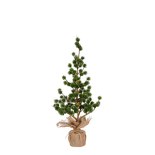 Load image into Gallery viewer, NORDIC | TREE