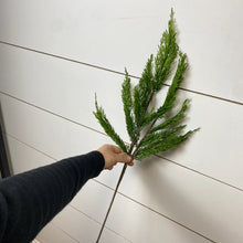 Load image into Gallery viewer, CEDAR WHISP | STEM M