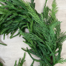 Load image into Gallery viewer, NORFOLK & CYPRESS | 6FT