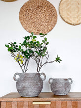 Load image into Gallery viewer, Siena