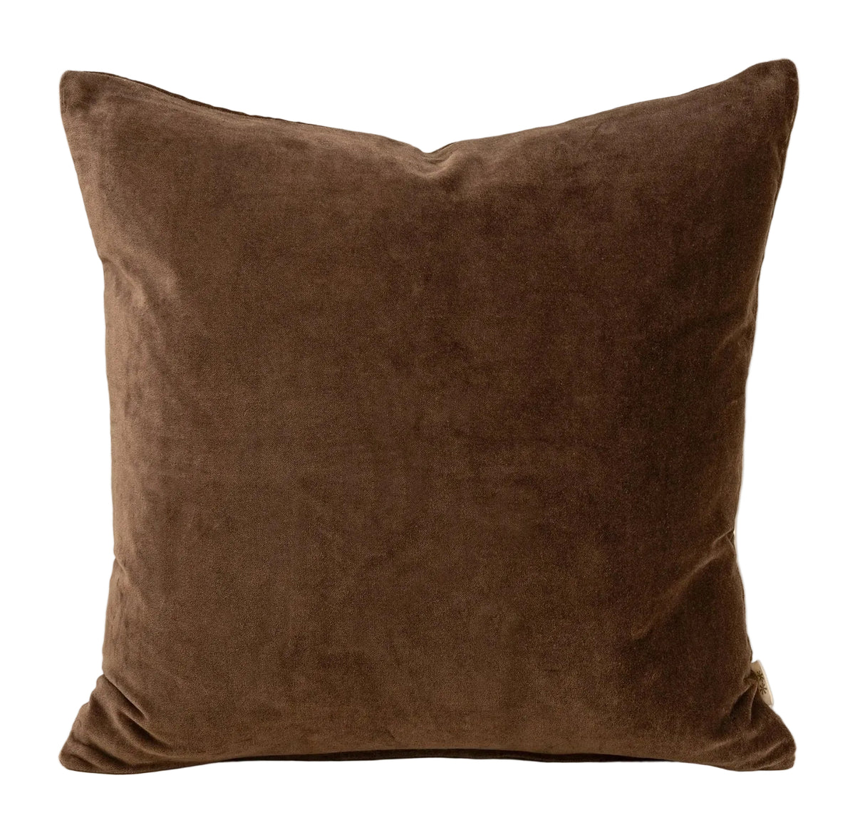 VERA | CLOVE LUXE VELVET