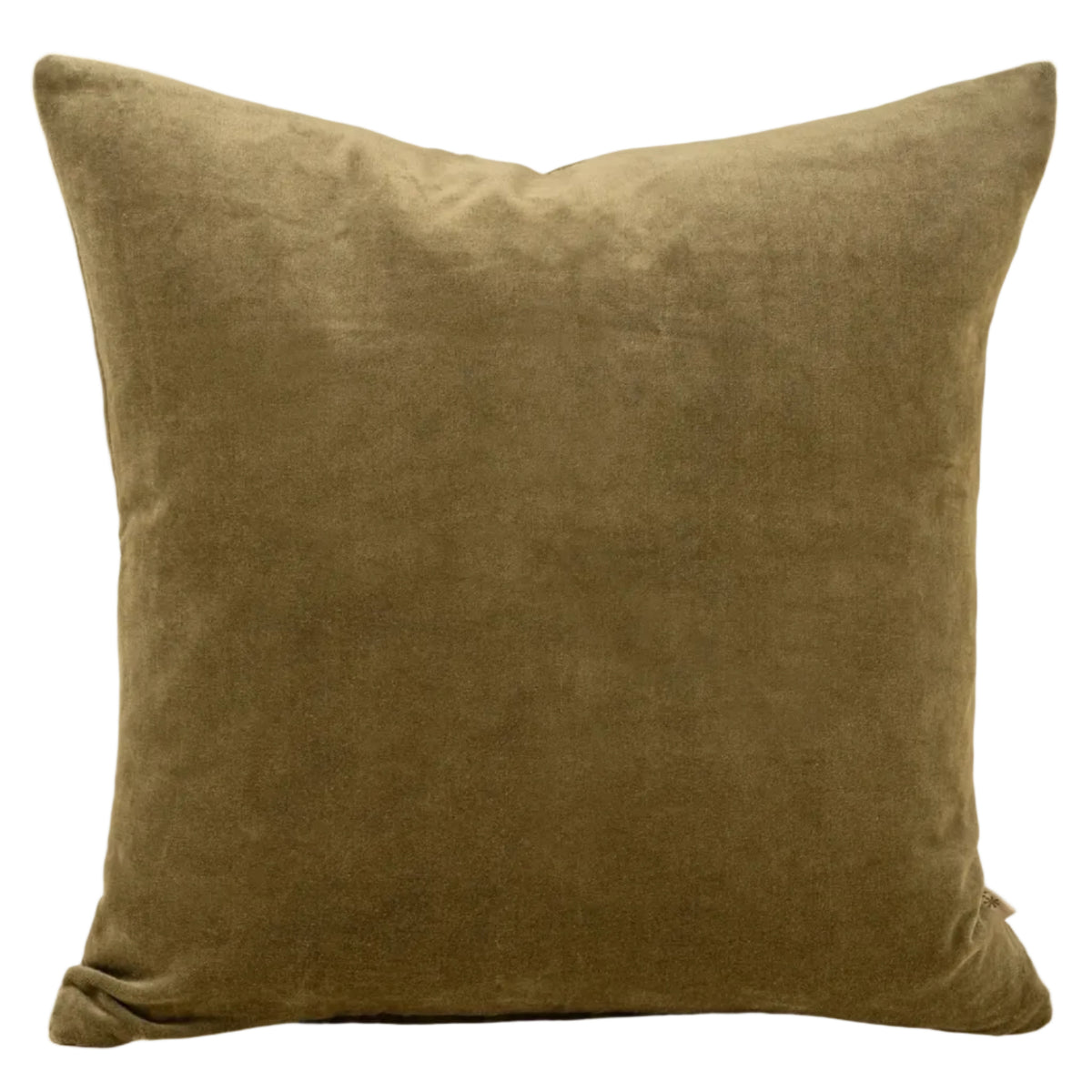 VERA | OLIVE LUXE VELVET