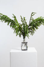 Load image into Gallery viewer, NORFOLK | BRANCH