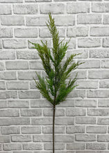 Load image into Gallery viewer, WHISPY CEDAR | STEM L