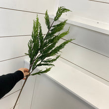 Load image into Gallery viewer, WHISPY CEDAR | STEM L