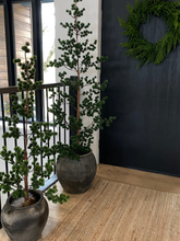 Load image into Gallery viewer, NORDIC | TREE