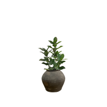 Load image into Gallery viewer, FIA