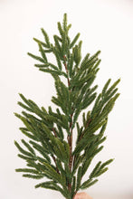 Load image into Gallery viewer, NORFOLK LUX | STEM