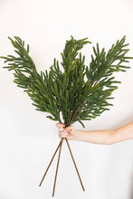 Load image into Gallery viewer, NORFOLK LUX | STEM