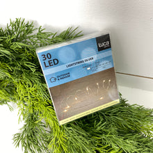 Load image into Gallery viewer, MINI LIGHTS | SILVER WIRE