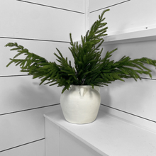 Load image into Gallery viewer, NINA COLLECTION