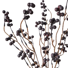 Load image into Gallery viewer, Vine Berries | Black
