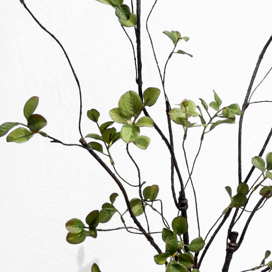 Mini Leaf | Green