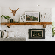 Load image into Gallery viewer, BULL