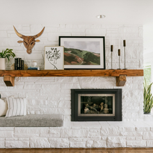 Load image into Gallery viewer, BULL