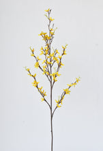 Load image into Gallery viewer, FORSYTHIA SPRAY