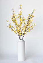 Load image into Gallery viewer, FORSYTHIA SPRAY