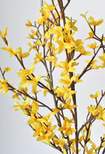 Load image into Gallery viewer, FORSYTHIA SPRAY