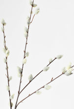 Load image into Gallery viewer, PUSSY WILLOW SPRAY
