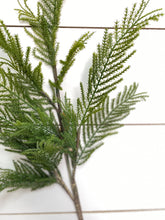Load image into Gallery viewer, CYPRESS | STEM L