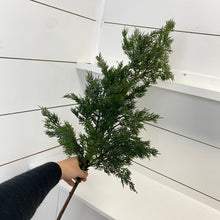 Load image into Gallery viewer, CEDAR | BRANCH