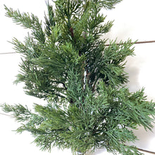Load image into Gallery viewer, CEDAR | BRANCH