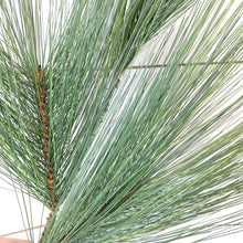 Load image into Gallery viewer, LONG NEEDLE PINE | STEM M