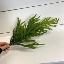 Load image into Gallery viewer, NORFOLK | STEM M