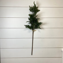 Load image into Gallery viewer, CEDAR | BRANCH