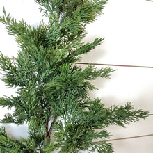 Load image into Gallery viewer, CEDAR | BRANCH